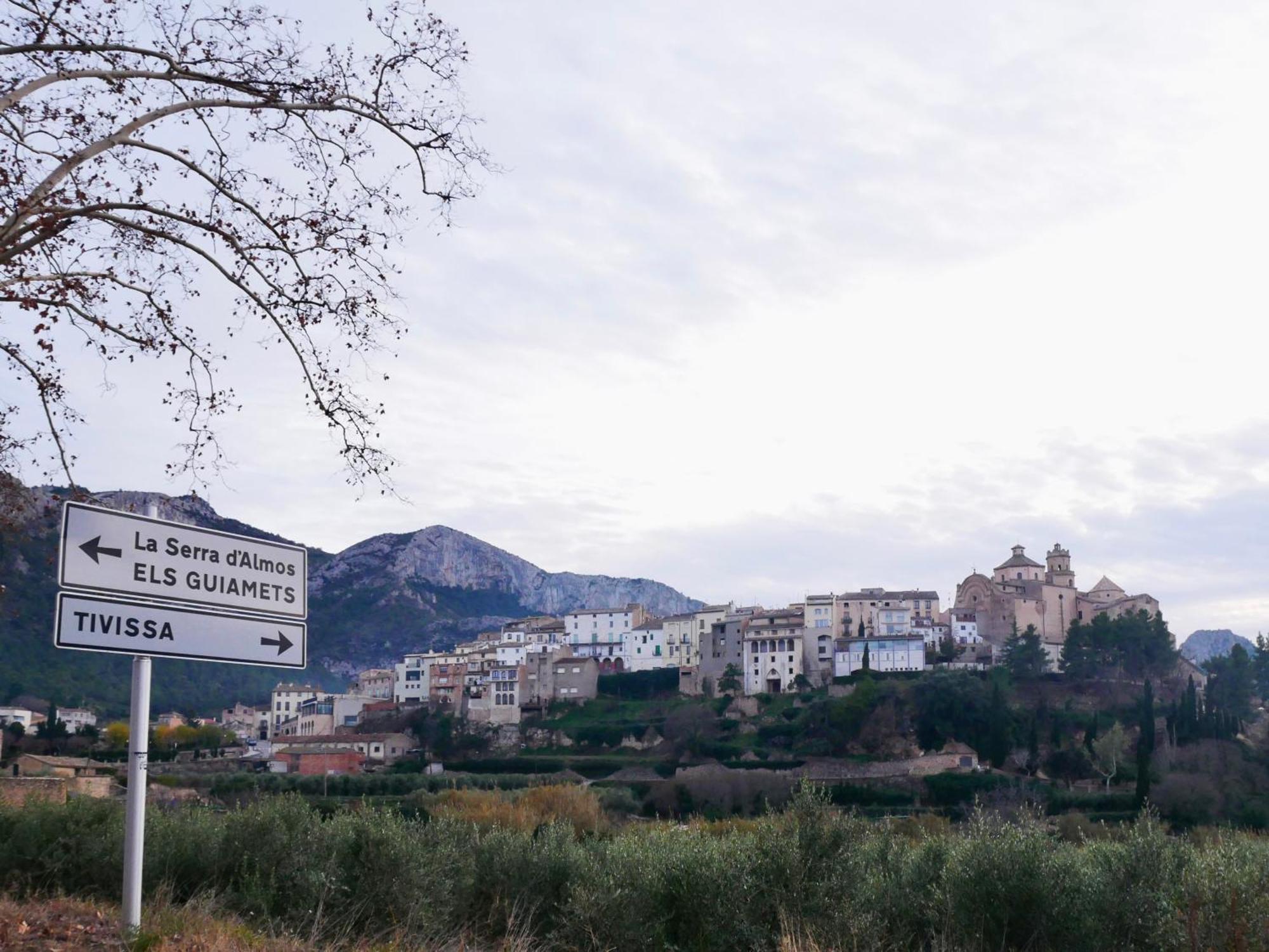 Apartament Rural Monetze Tivissa 外观 照片