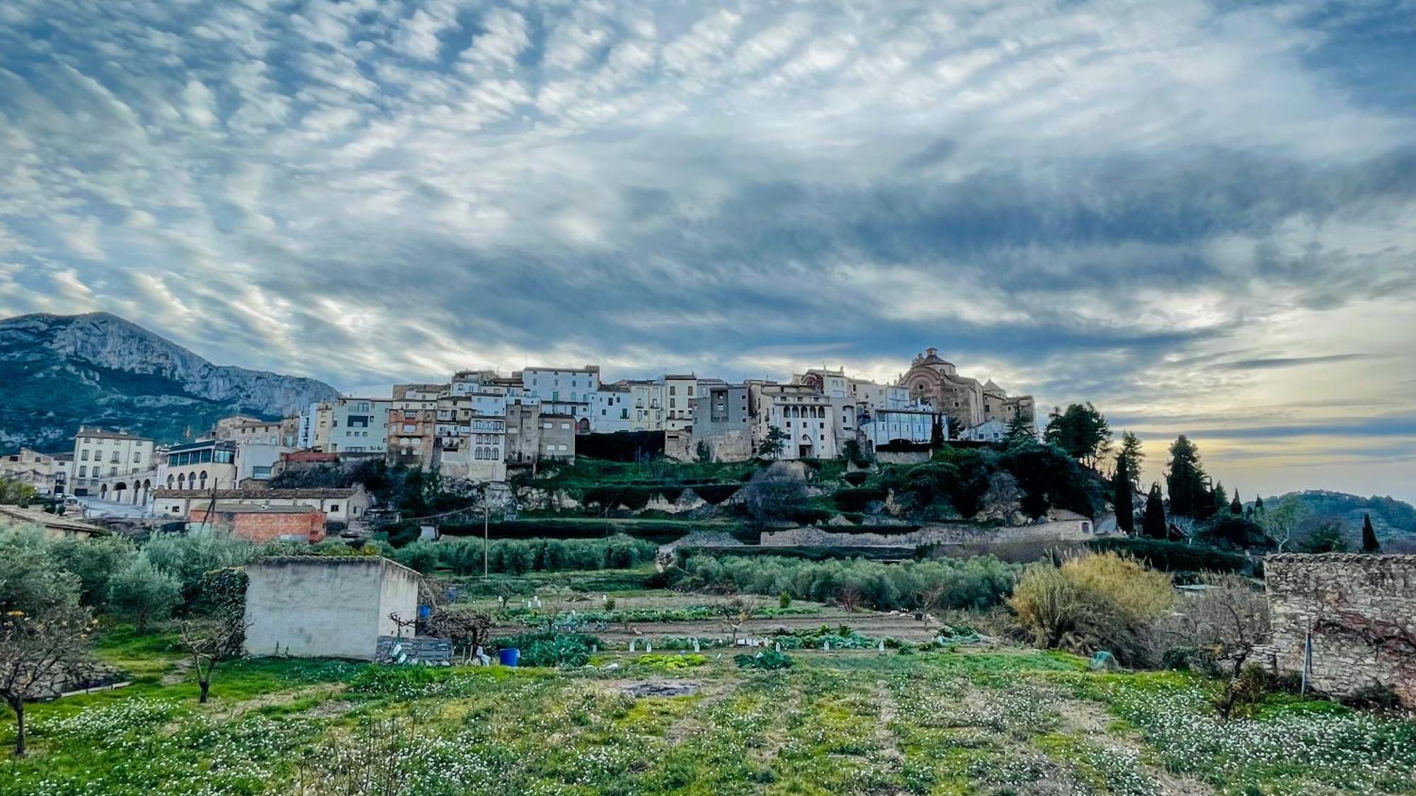 Apartament Rural Monetze Tivissa 外观 照片