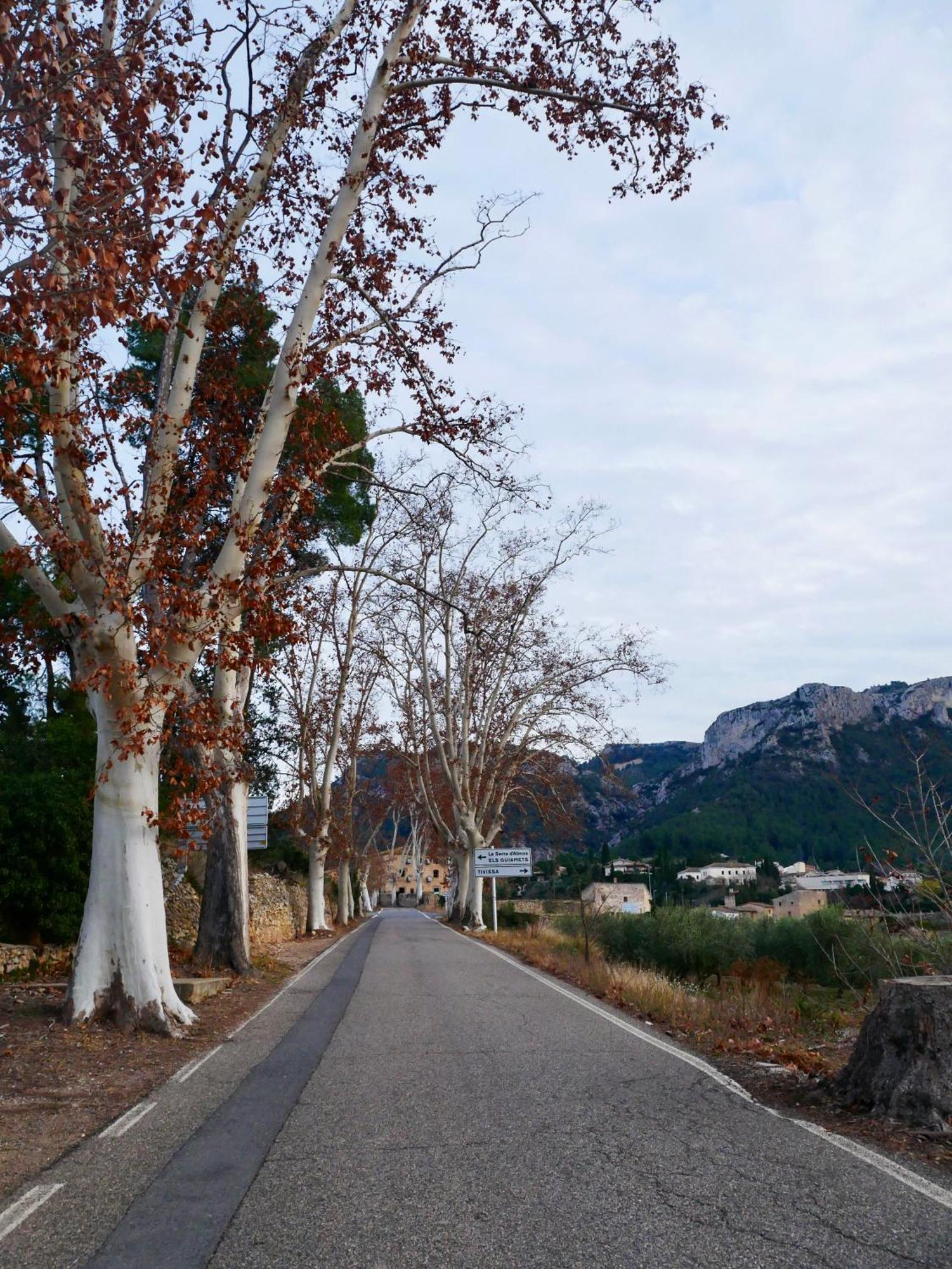 Apartament Rural Monetze Tivissa 外观 照片