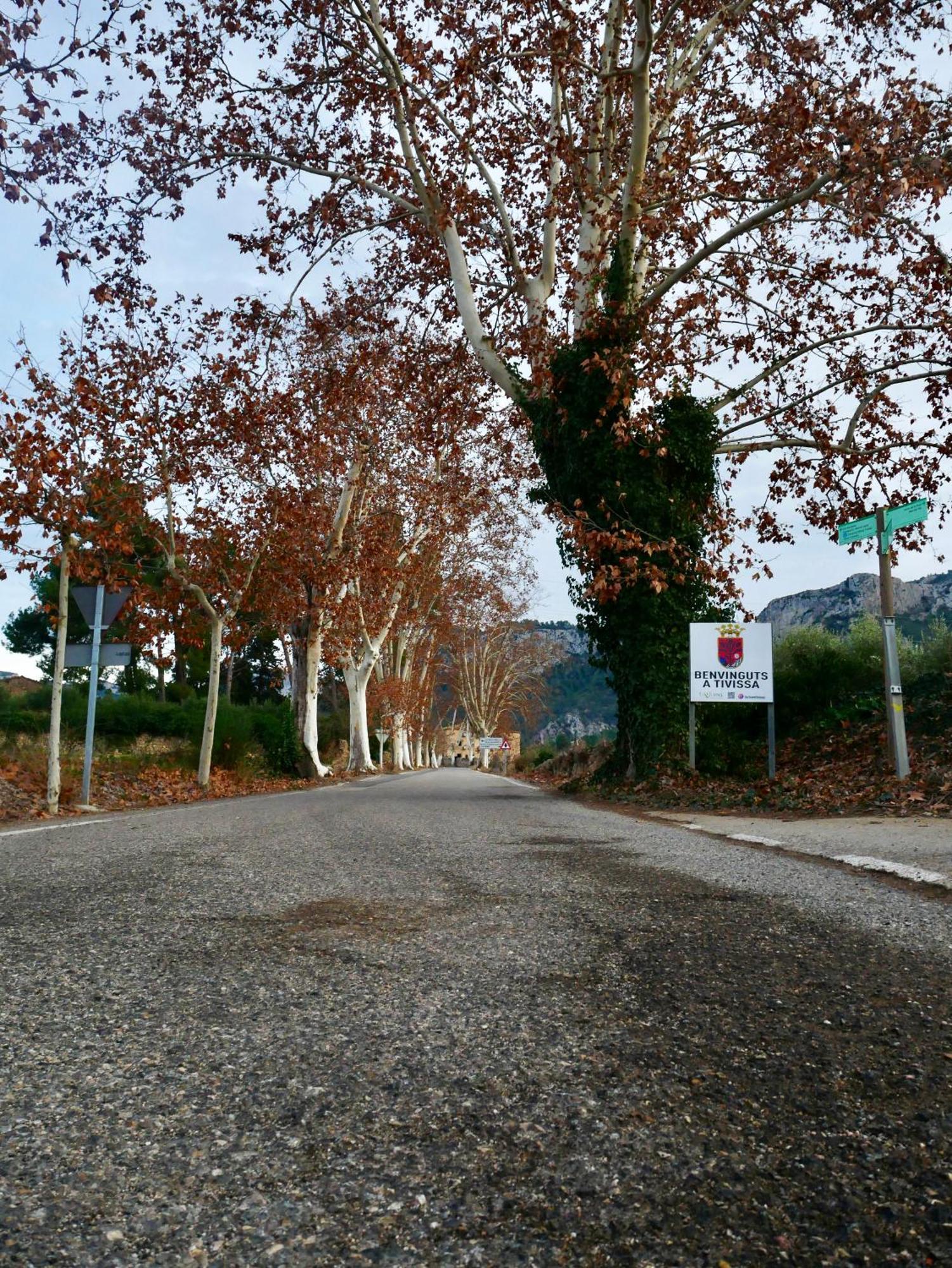 Apartament Rural Monetze Tivissa 外观 照片